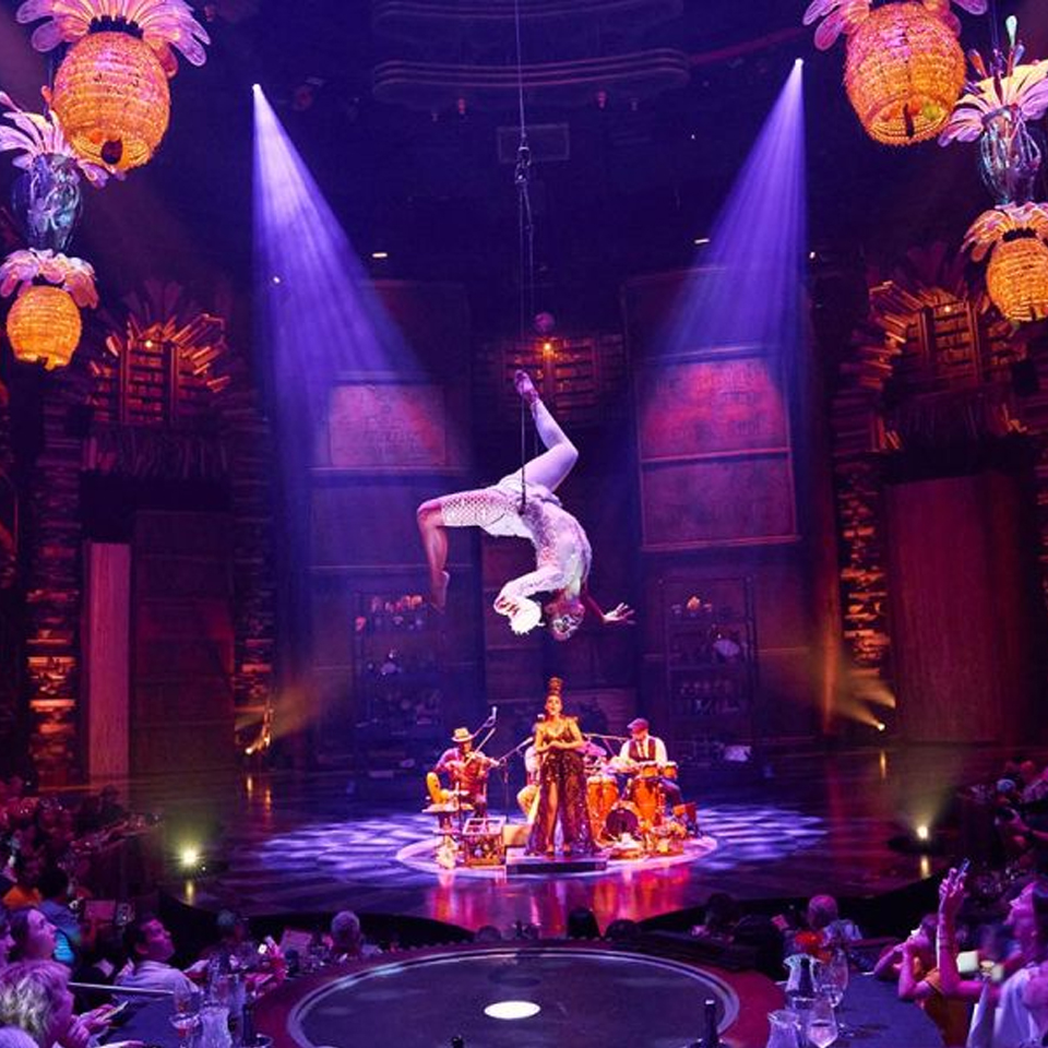 Cirque Du Soleil Joya