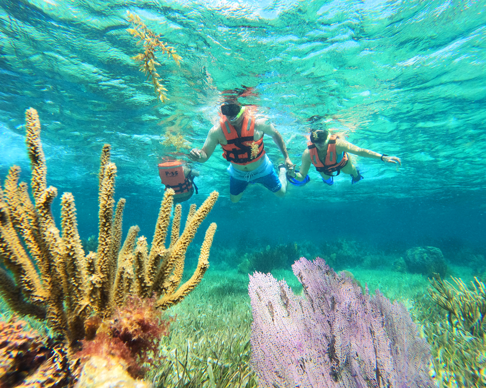 extreme snorkel 4